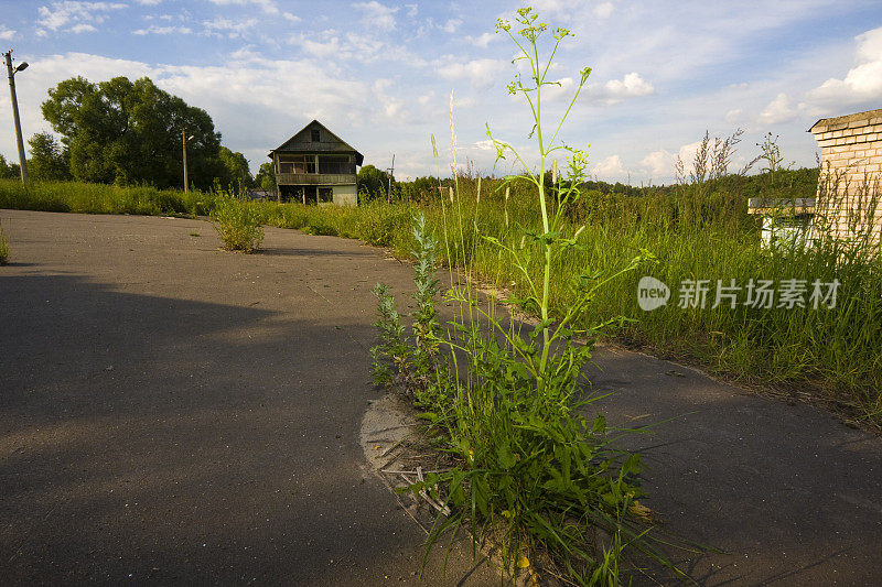 杂草花在道路上遗弃的儿童营地