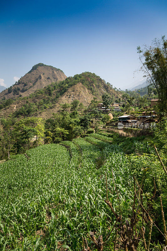 安娜普纳保护区步道和景观，喜马拉雅山，尼泊尔