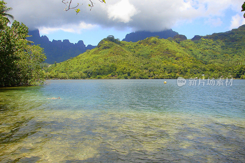 莫雷阿岛碧绿的海滩和绿色的景观，波利尼西亚