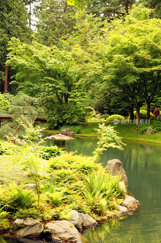 平静的水