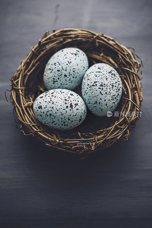 简单的复活节安排在燕窝里的斑点蛋