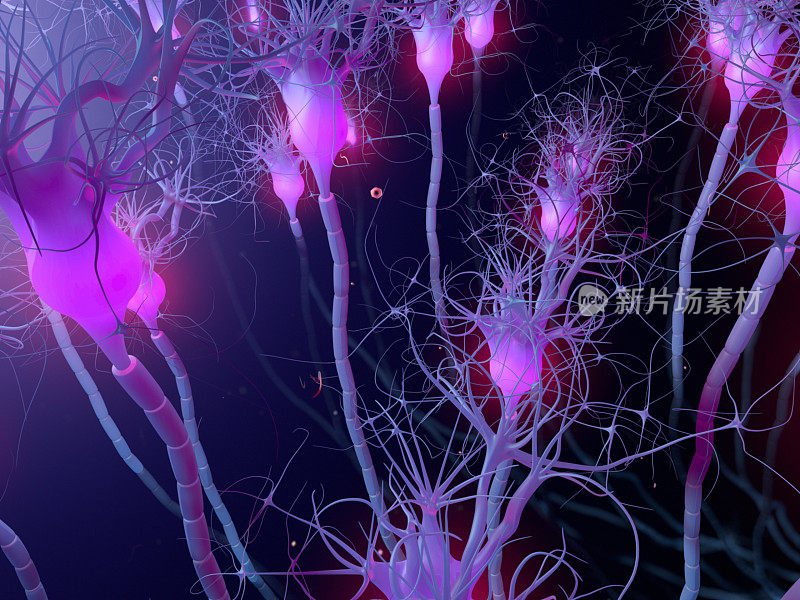 活跃的神经元细胞，突触网络