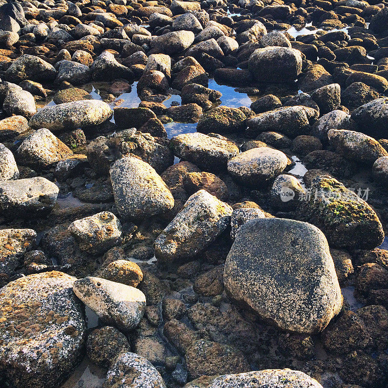 岩石海滩细节