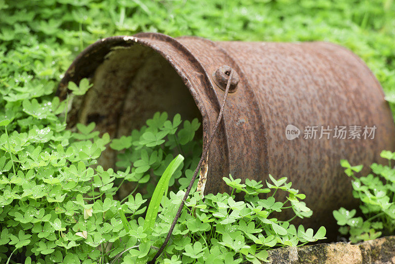 生锈的桶躺在新鲜潮湿的春天树叶