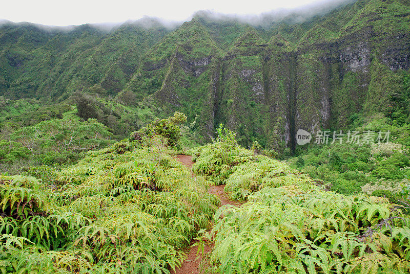 夏威夷库劳山徒步旅行路线