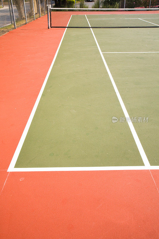 一个完整的网球面，显示草地球场和网。