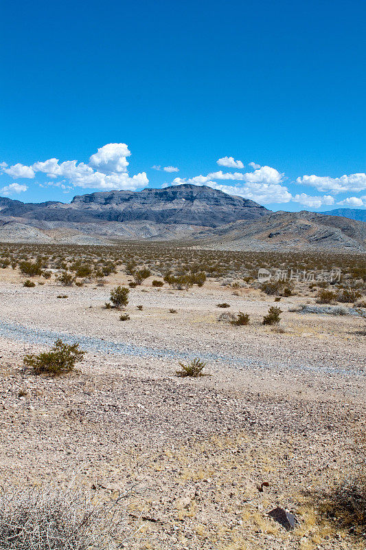 干旱的加利福尼亚沙漠景观垂直