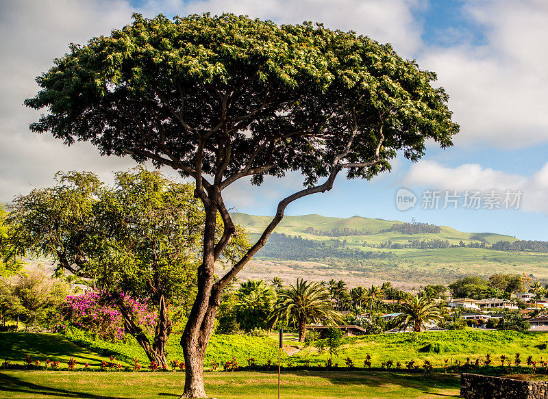 Wailea景观，美国夏威夷