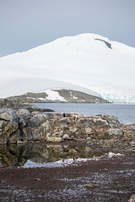 南极洲:Wiencke岛