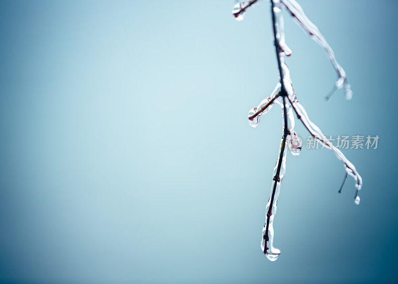 覆盖着冰雪