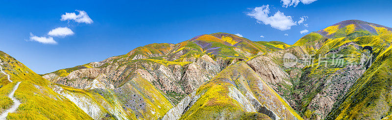 卡瑞佐平原，麦基特里克山顶下的鲜花覆盖的丘陵全景