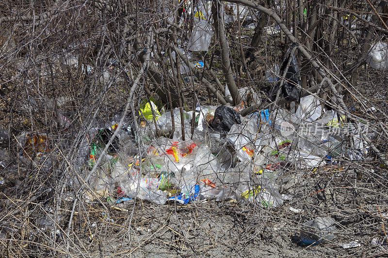 垃圾在森林里。塑料袋