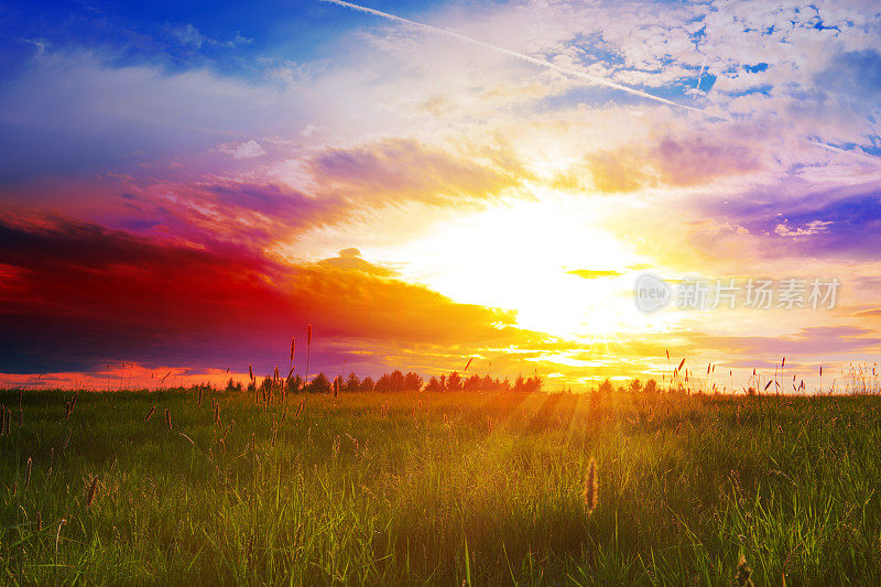 美丽的日落在绿色的广阔的田野