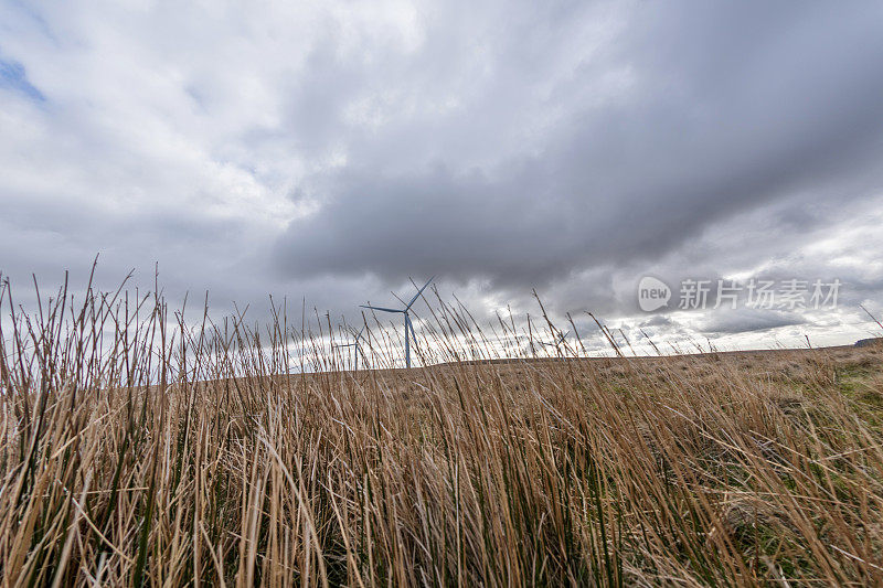 威尔士荒原上的风力涡轮机