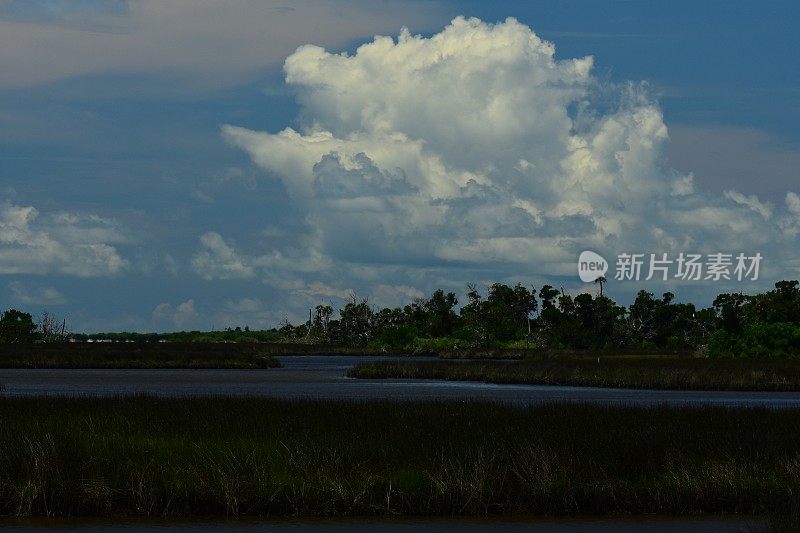 夏日的云在海岸线上形成，海岸线上有海洋森林