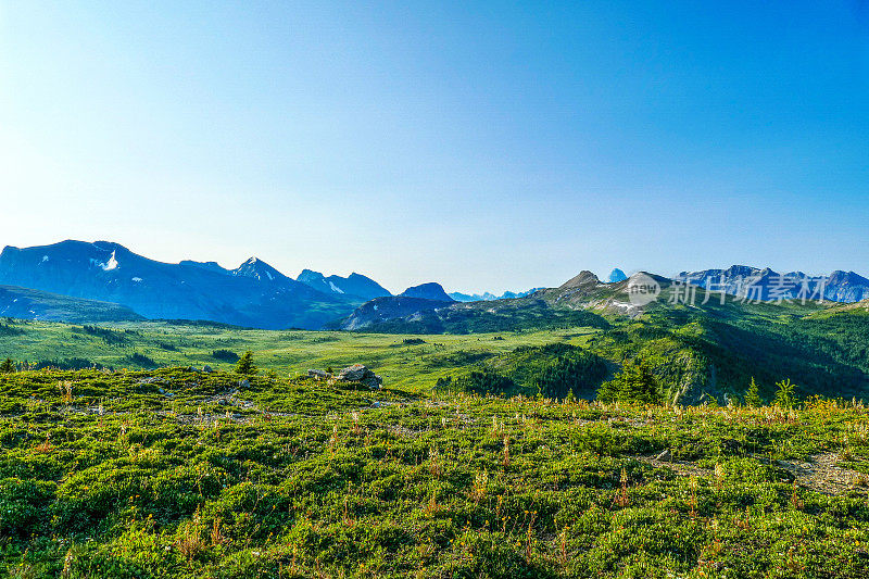 加拿大班夫国家公园阳光草地，城堡峰和阿西尼博因山