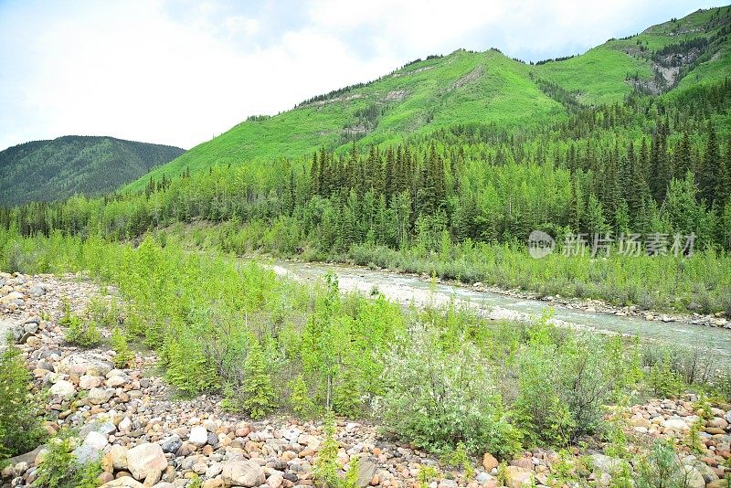 加拿大的河流、森林和山脉