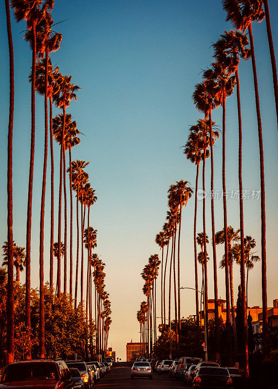 洛杉矶的街道