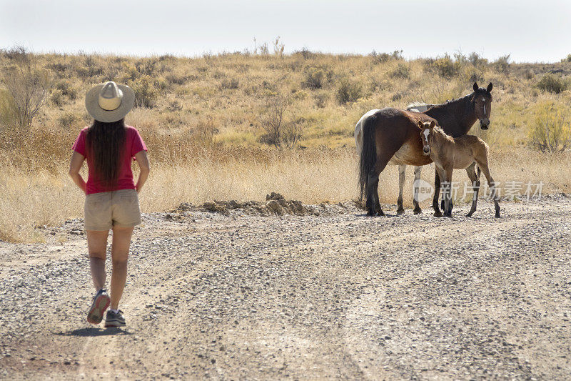 女人走在新墨西哥荒野沙漠自由放养马的路上