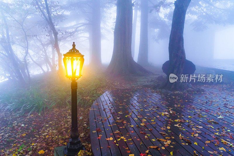 风景优美的道路和灯光