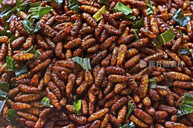 油炸昆虫――曼谷街头小吃。