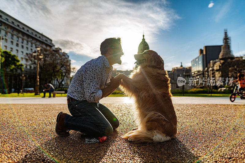 成熟的男人带着金毛猎犬在城市里散步