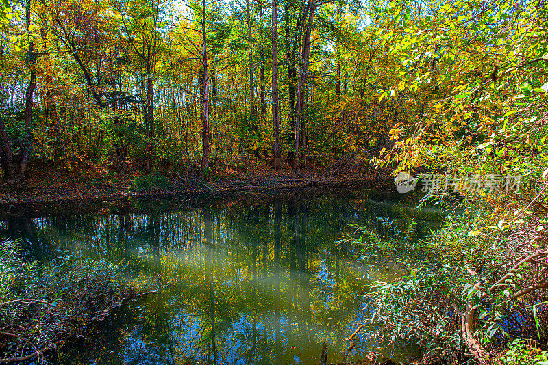 这是一幅在河边被森林包围的秋景
