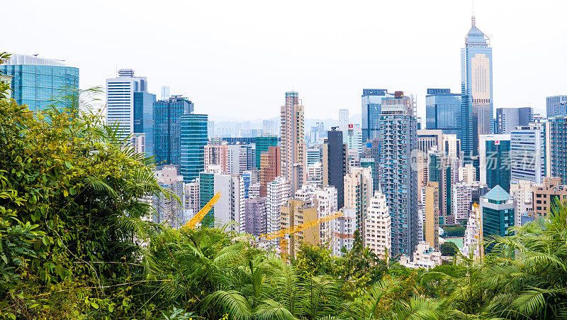 香港的城市