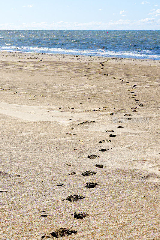 26、沙滩上的脚印走了很长的路，一直走到海边