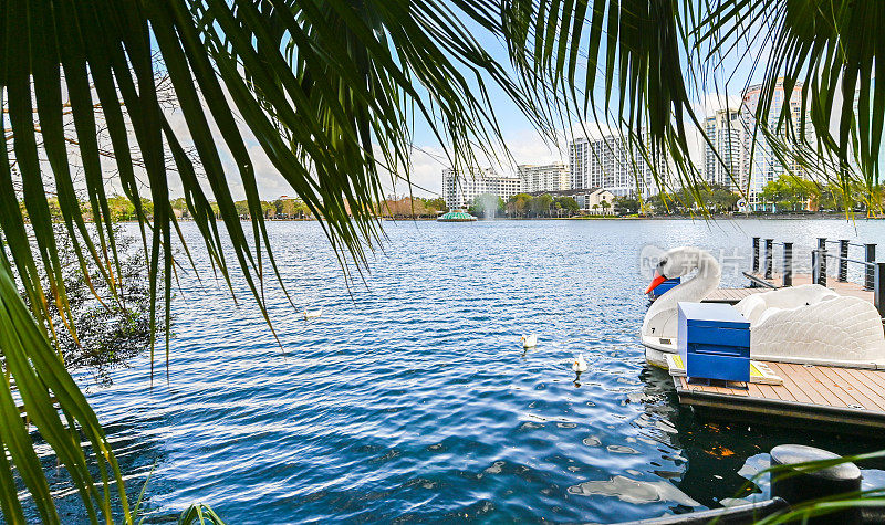 风景秀丽的湖Eola在佛罗里达州奥兰多市中心