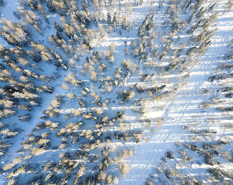 在雪中行走