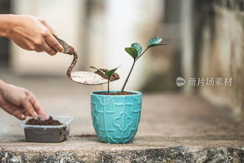 手把沙子放在花盆里的特写