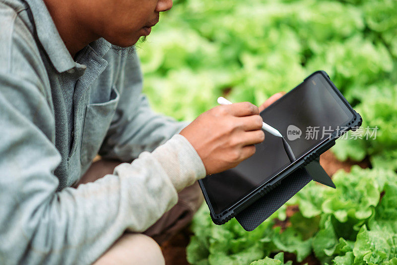 亚洲微笑男性农民在温室使用数字平板电脑