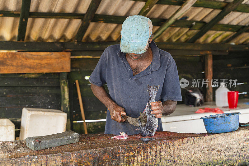 斯里兰卡的一个小鱼市场上，小贩正在清理和切割新鲜捕获的梭鱼。