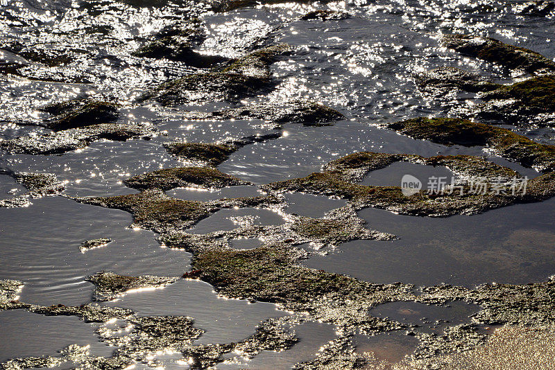 低潮海床-风化坑-帕莱索海滩，卡沃埃罗，阿尔加维，葡萄牙