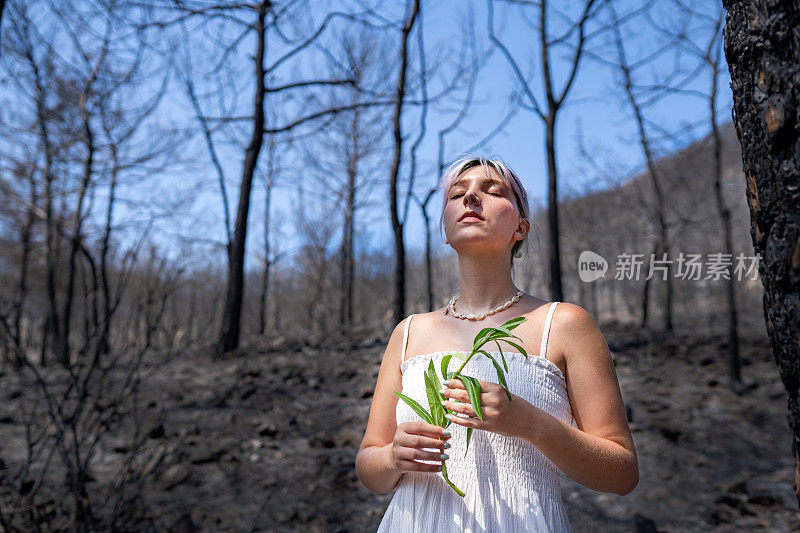 森林大火后，小女孩手持绿色植物在白蜡树间