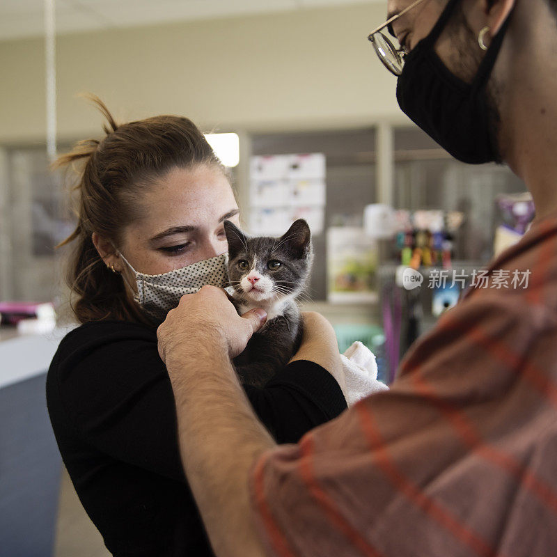 新收养的小猫和千禧夫妇的第一次见面。