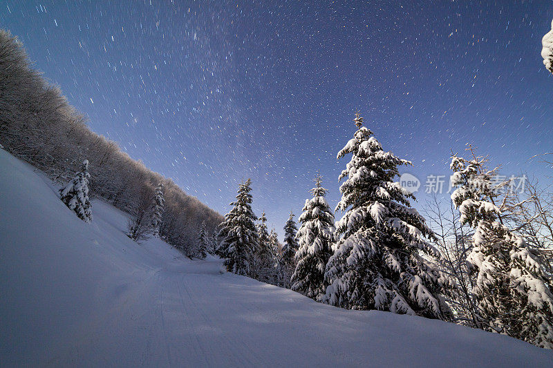 壮丽的星空笼罩着冬日的山景。夜景。月光下美丽的高大冷杉。喀尔巴阡山,乌克兰,欧洲。