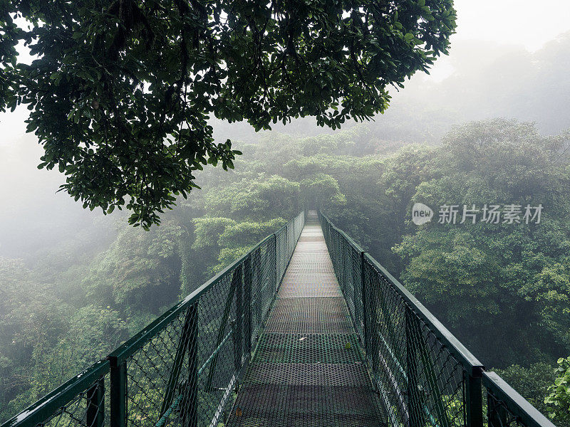 在哥斯达黎加蒙特维达附近的云雾森林里，一座悬在树上的桥