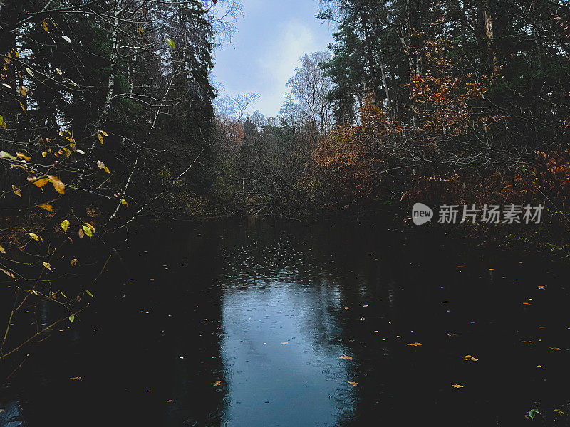 在冬天的夜晚，在潮湿的天气里，森林中央的一个小湖。