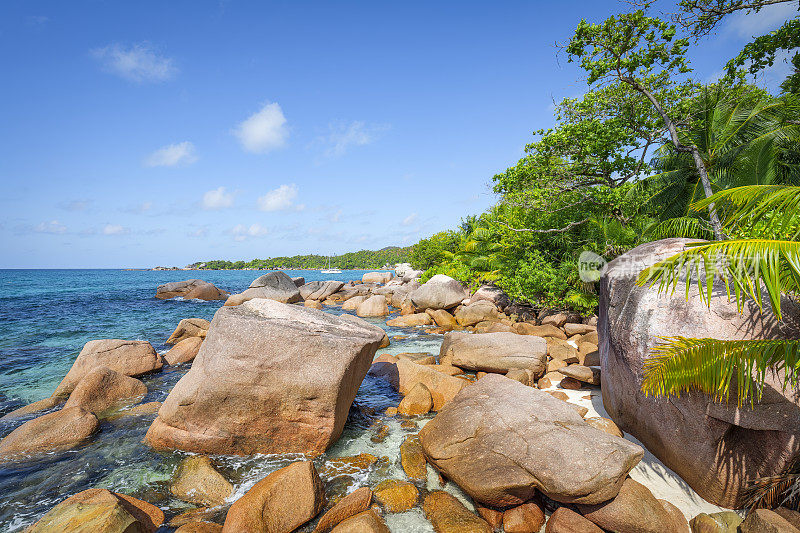 热带海滩安塞拉齐奥与典型的强大的花岗岩岩层和棕榈树普拉林岛，花岗岩塞舌尔，群岛在印度洋