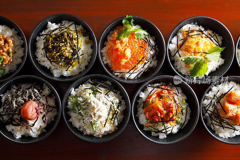 日本家庭烹饪，Ochazuke食谱