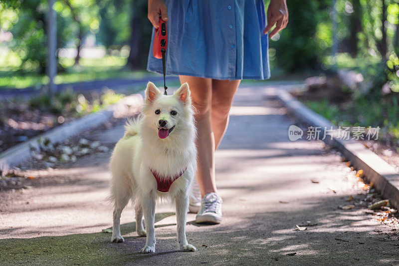 女人和宠物狗在大自然中享受时光