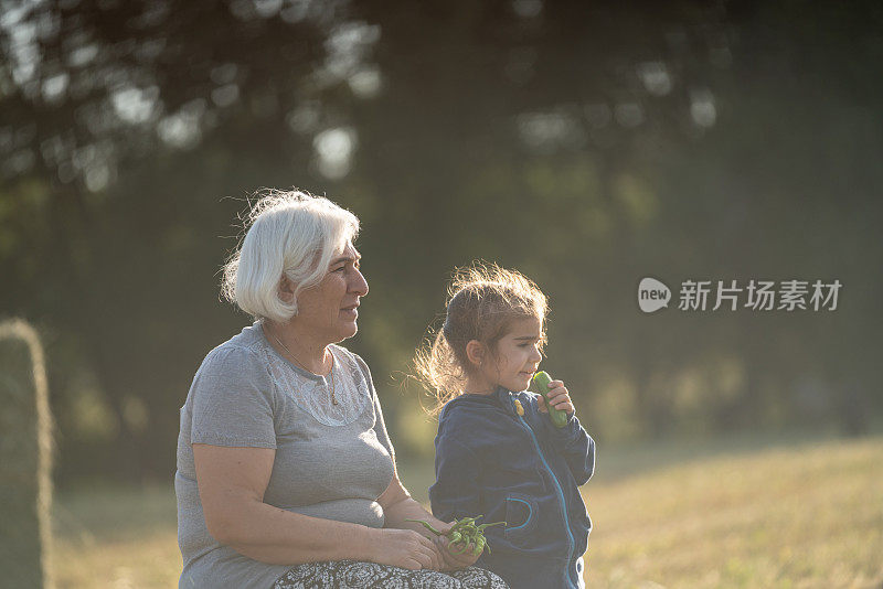 老妇和孙女抱着新鲜蔬菜坐在户外的照片