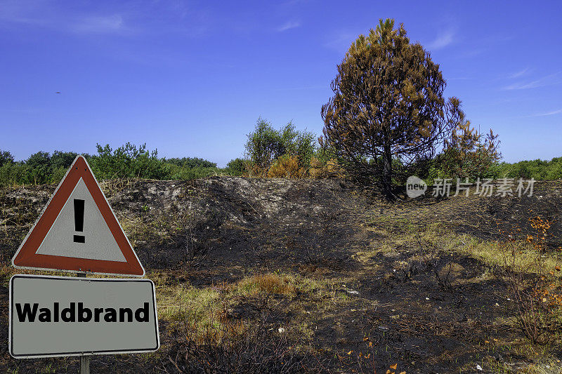 标志森林消防德语“Waldbrand”