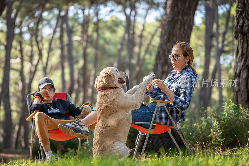 幸福的家庭花时间和他们的狗金毛猎犬在森林里露营