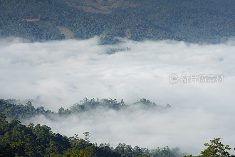 美丽的阳光在山上，一个雾蒙蒙的早晨在清莱，泰国