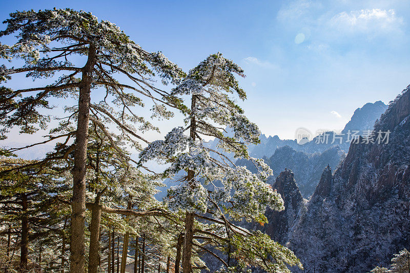 中国黄山的冬季景观