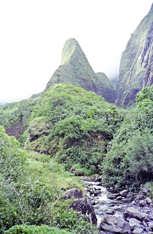 毛伊岛山