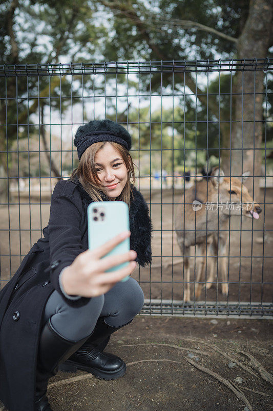 冬天的日本奈良公园，美女游客与鹿自拍